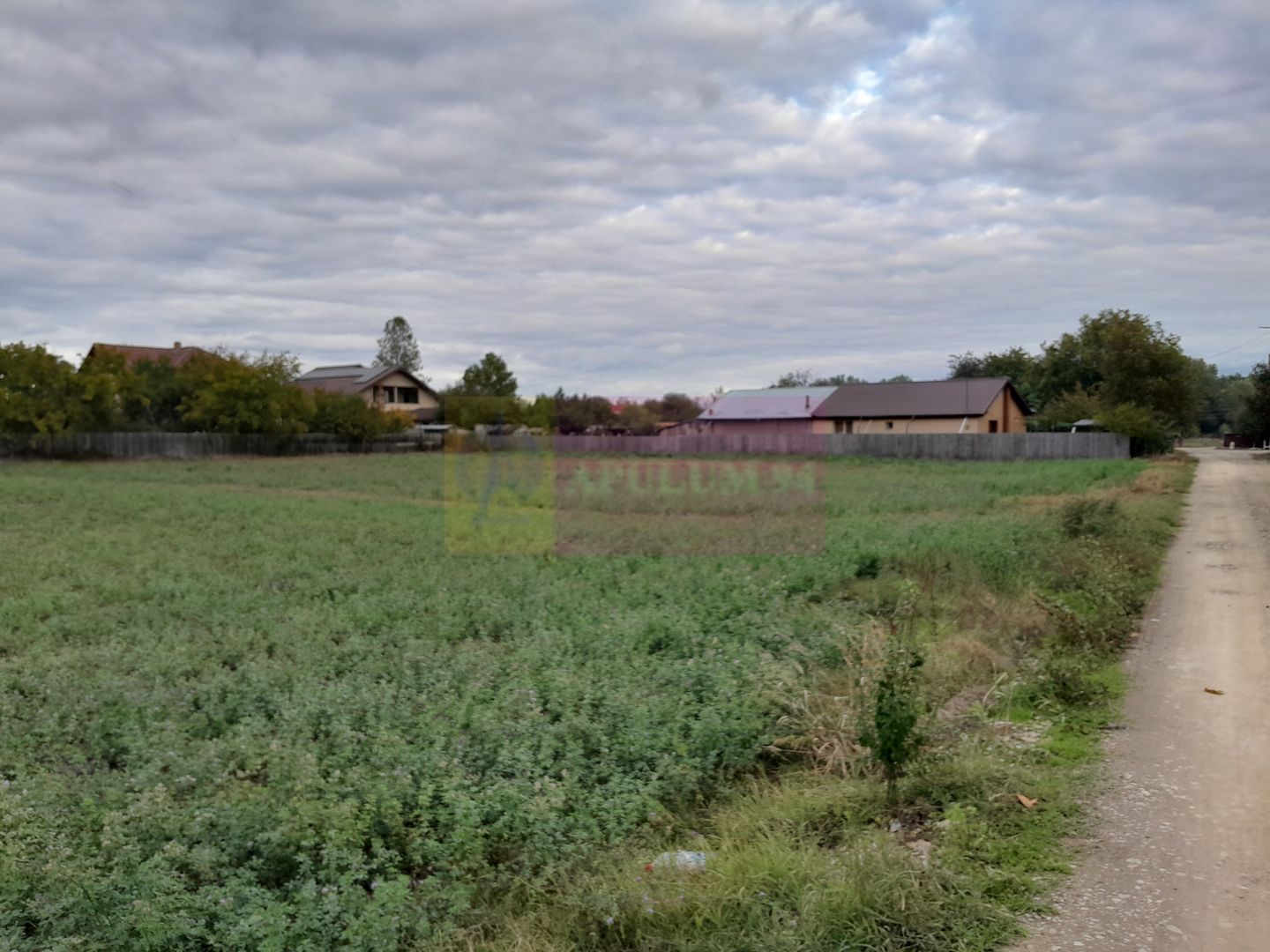 DE VANZARE TEREN 2000 MP  -  COSERENI( il )