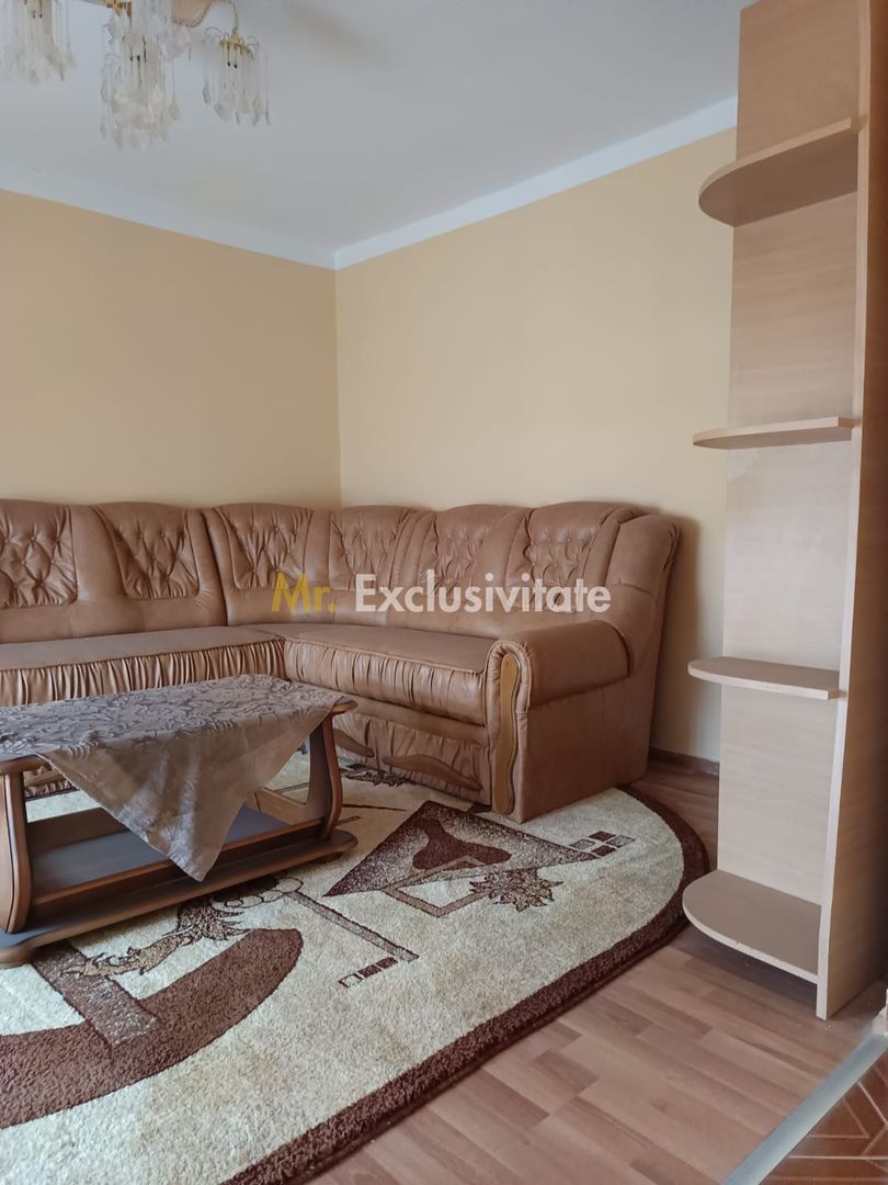 Vilă P+E de vânzare în Valea lui Mihai – 233 mp, teren 733 mp - imaginea 21