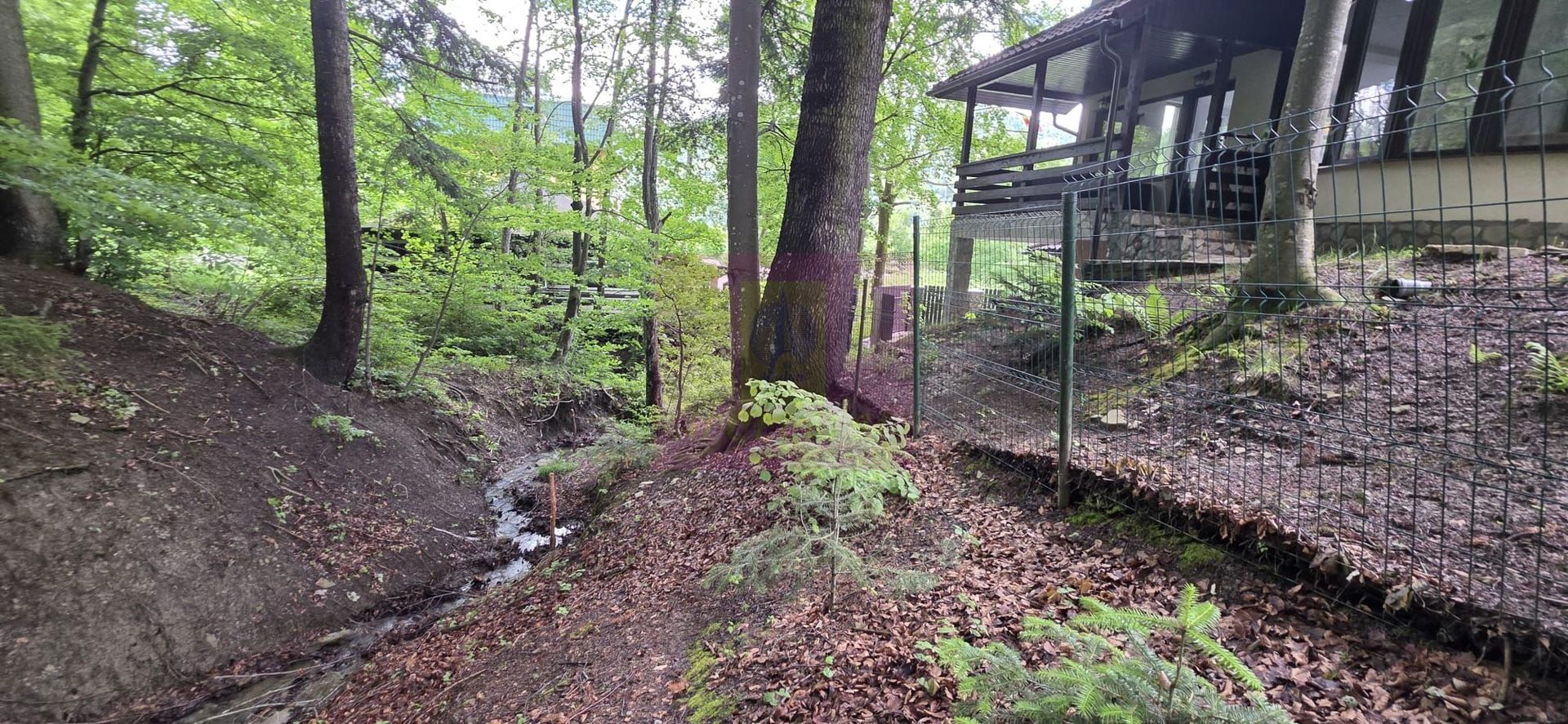 Teren intravilan 720 mp Sinaia - imaginea 6