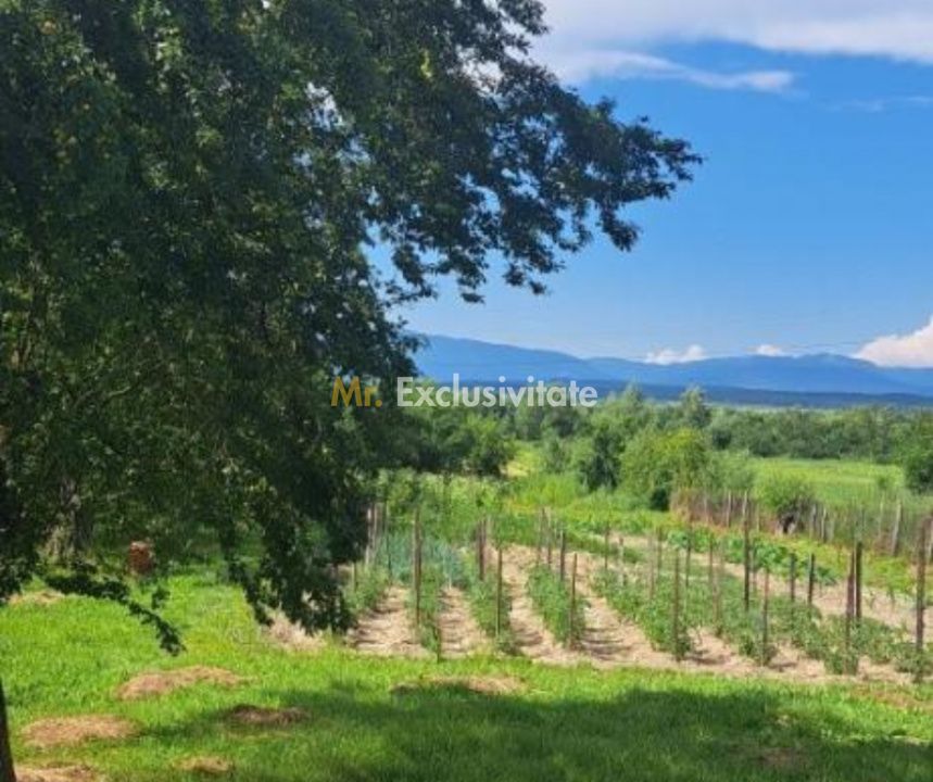 Proprietate cu potențial turistic și agricol | 7.661 mp|Șomanești-GORJ - imaginea 3