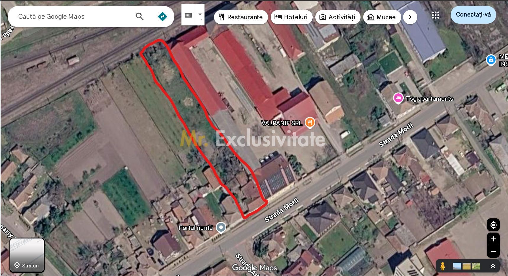 Casă de vânzare cu teren generos în Valea lui Mihai - imaginea 10