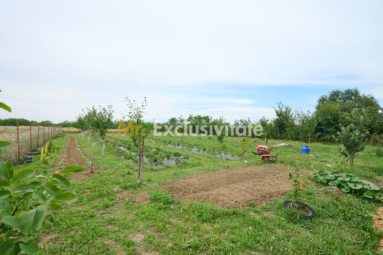 Casă cu teren generos – Vedea-Arges - imaginea 31