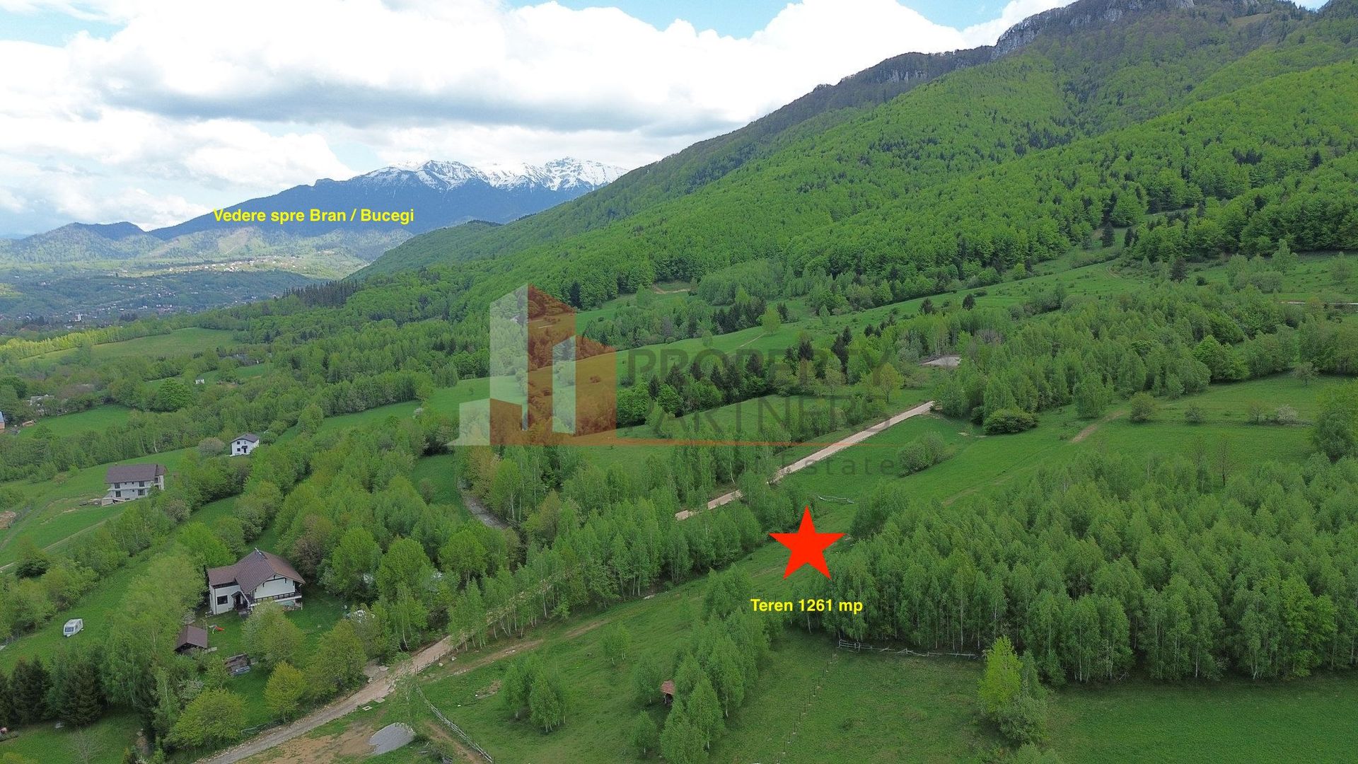 Teren intravilan 5.261 mp Tohănița | Deschidere 49 m | Utilități, lângă pădure - imaginea 5