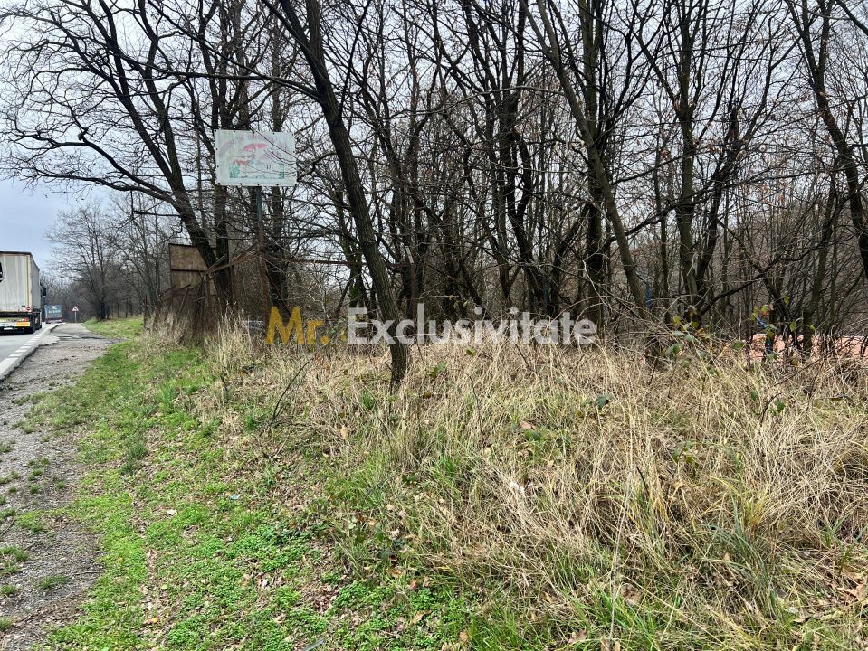 Teren intravilan 6.500 m²–Deschidere 144 ml drum european E81, km 35, Morăresti - imaginea 5
