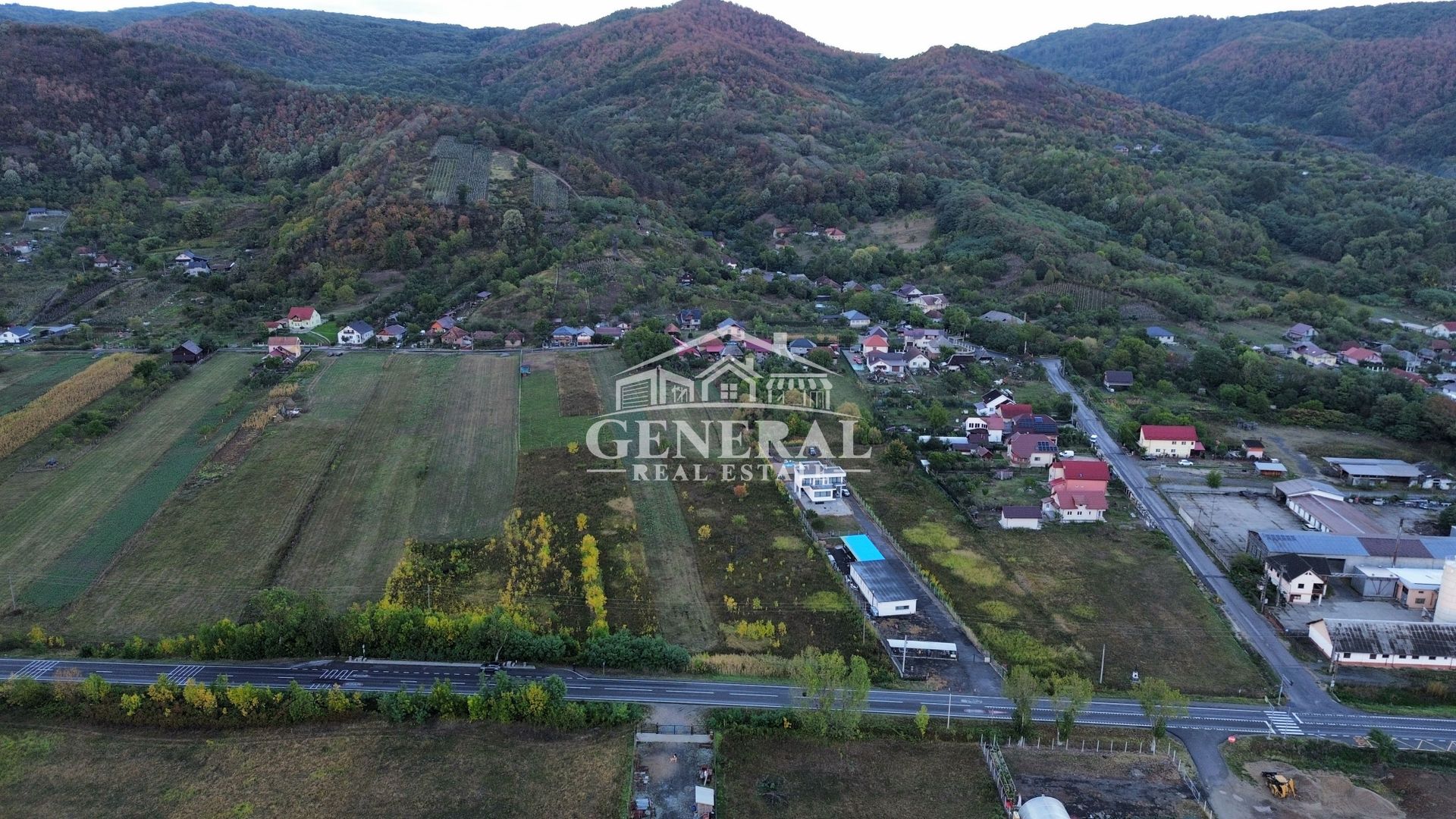 Teren de vanzare 4.000m2 in Cicarlau la Drum European E58 BM-SM KM-15 - imaginea 10