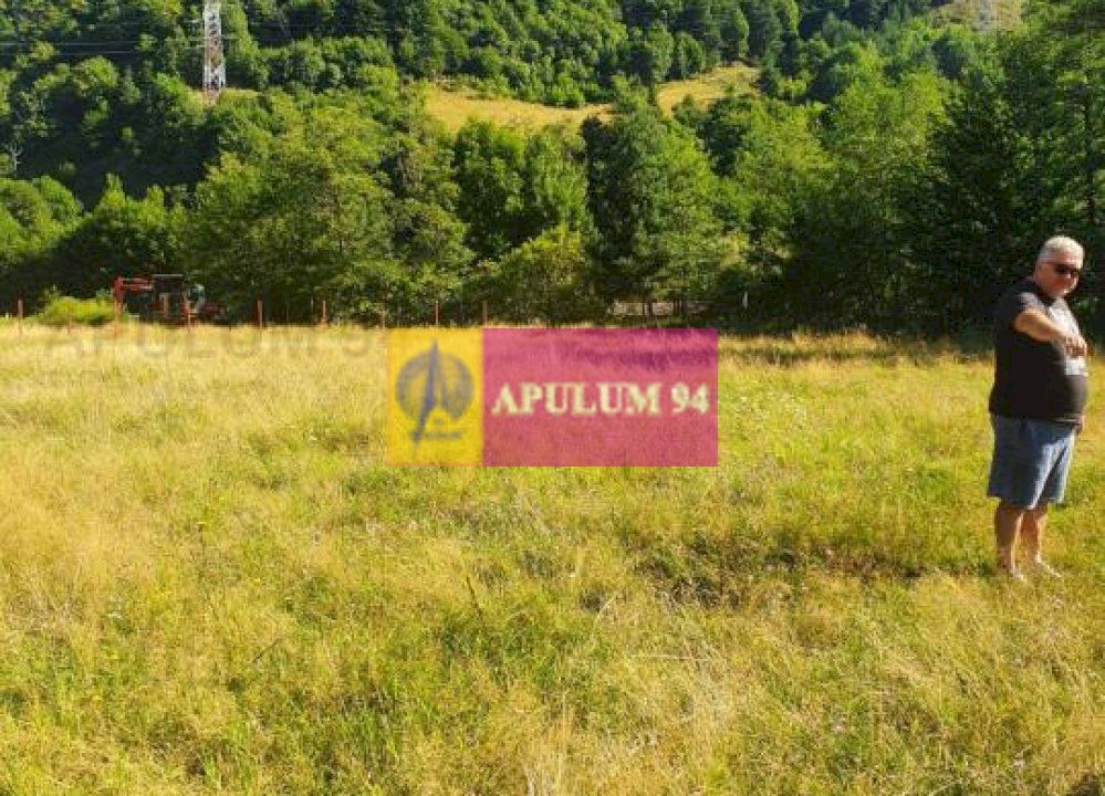 Teren Județul Vâlcea - Brezoi, Valea lui Stan