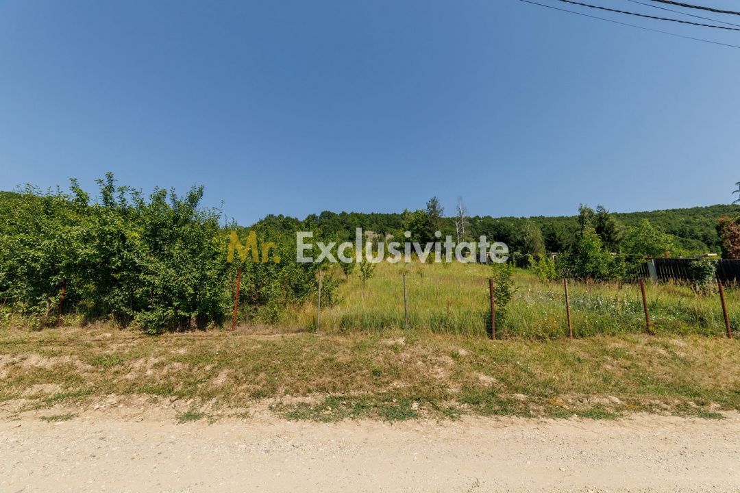 Teren intravilan Ștefănești Valea Mare Podgoria - imaginea 4