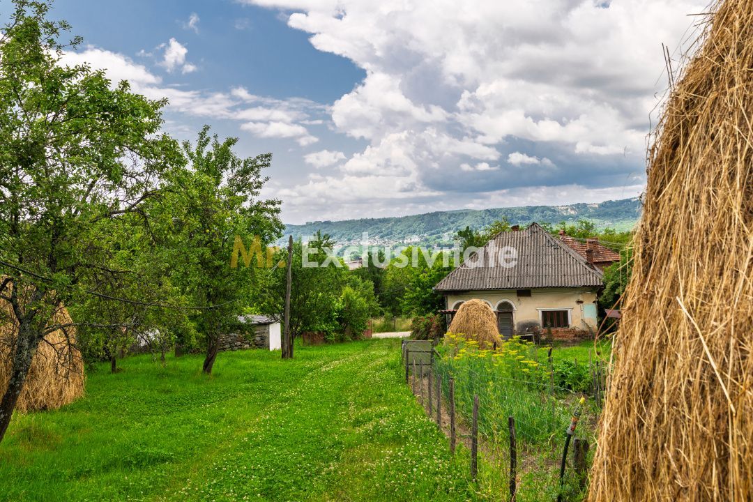 Casa moderna si casa bunicii + 6300 mp teren,Oaza autentica in Corbi Arges- - imaginea 4