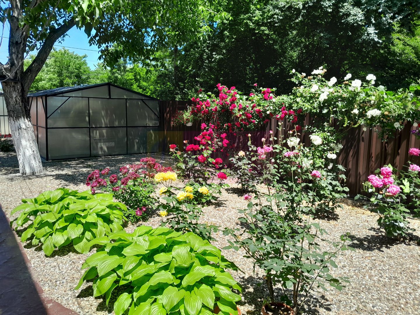 Movilita  (IL) - de vanzare casa 5 cam p+1