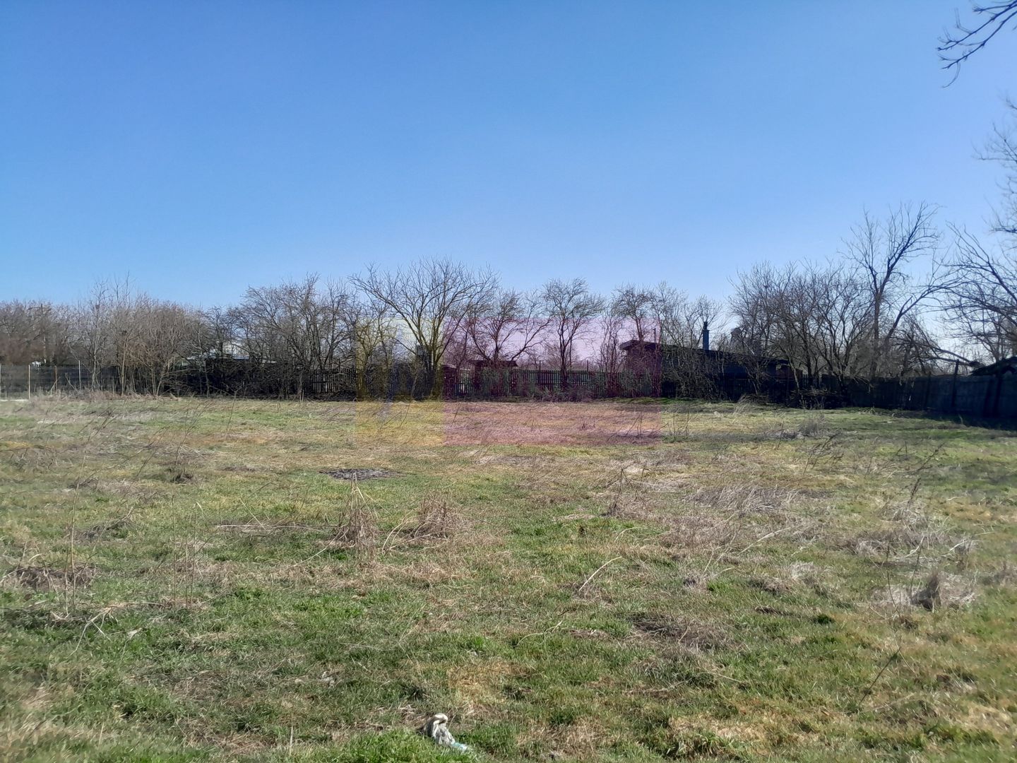 VANZARE TEREN 2000 MP (40M DESCHIDERE) - SAT CHIROIU (IL)