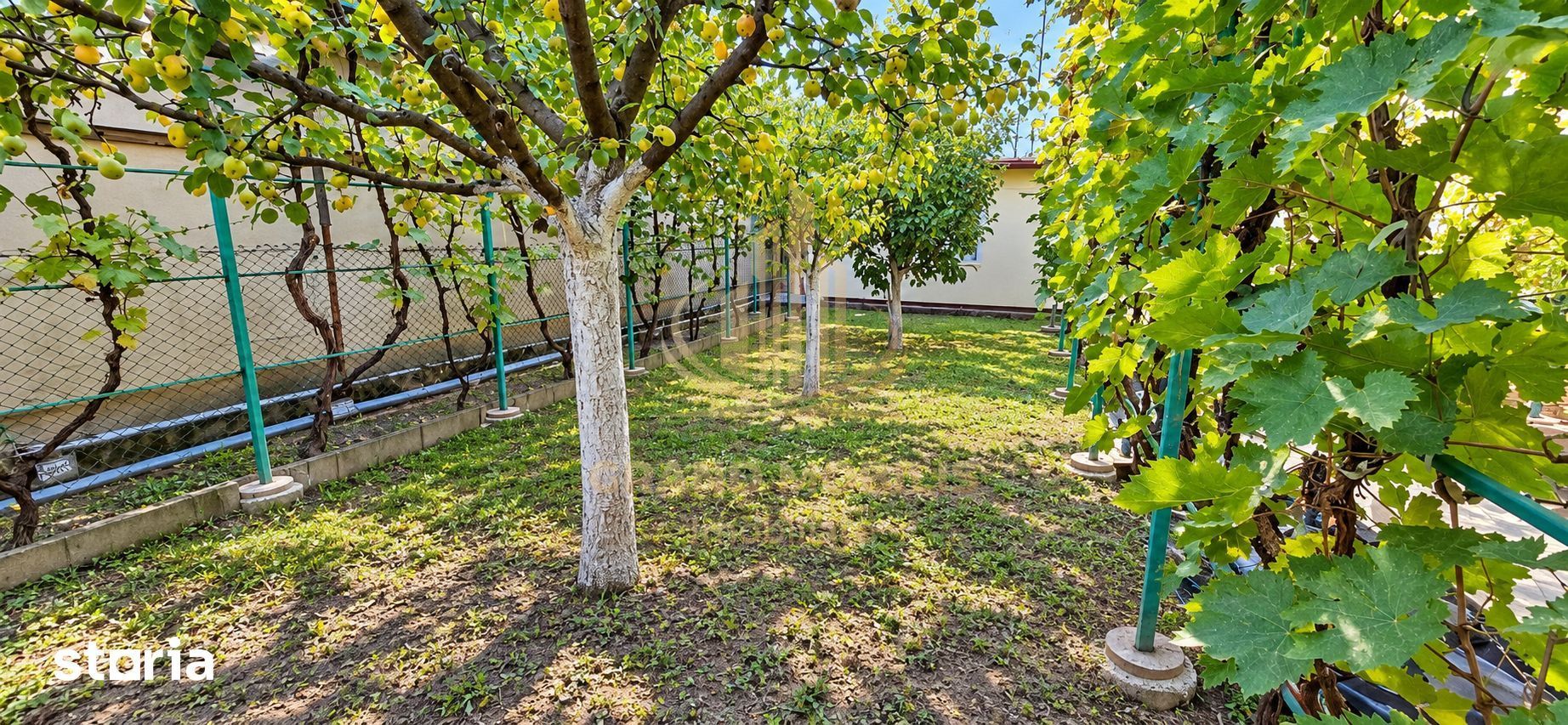 CASĂ INDIVIDUALĂ CU TEREN 430 MP, ZONA PLOPI – TIMIȘOARA - imaginea 8