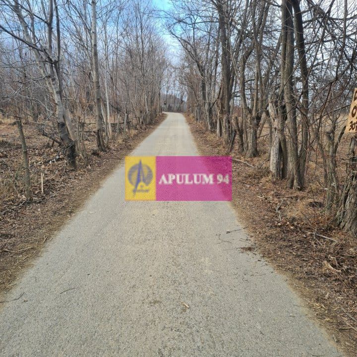 Teren intravilan de vanzare in Cornu de Jos