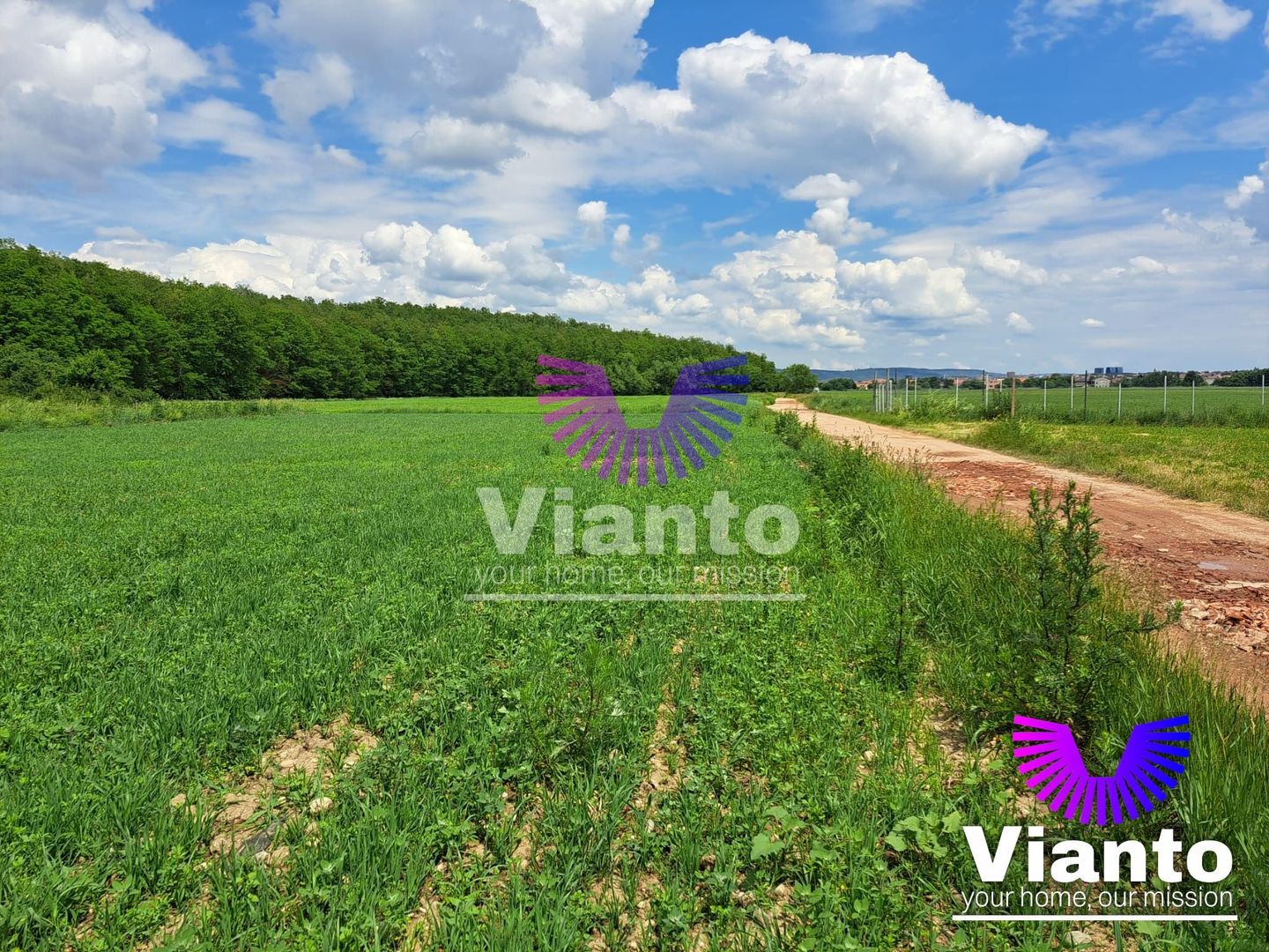 Teren Extravilan 500mp-Zona Turnisor