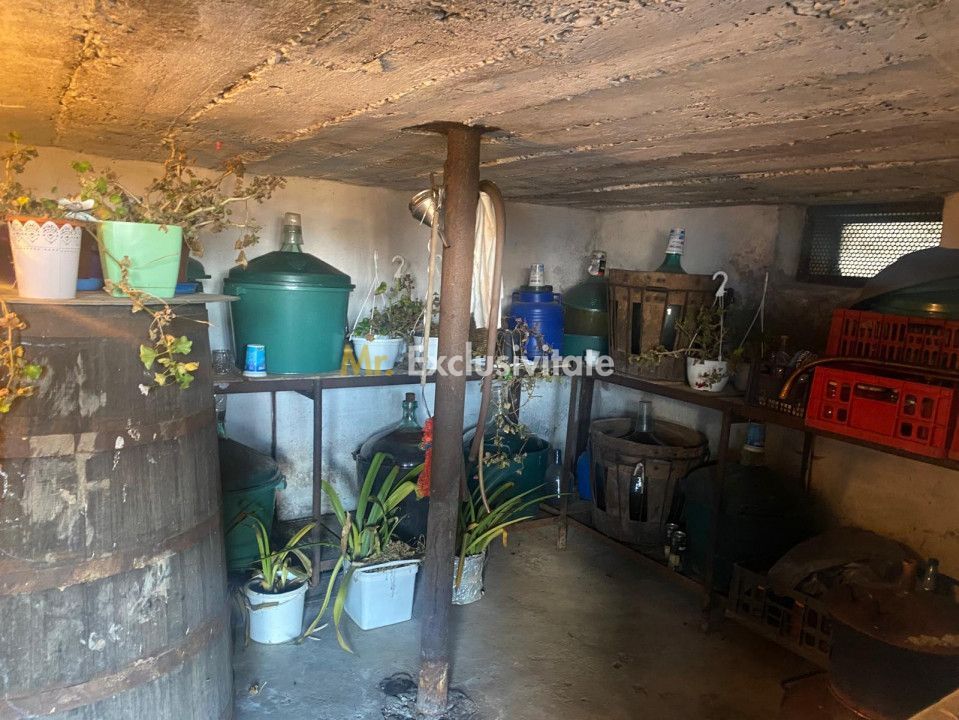 Proprietate cu potențial turistic și agricol | 7.661 mp|Șomanești-GORJ - imaginea 17