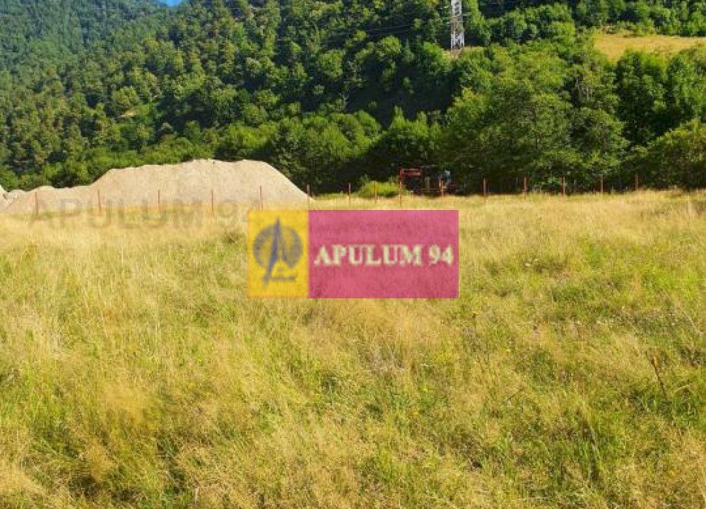 Teren Județul Vâlcea - Brezoi, Valea lui Stan