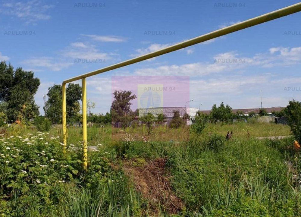 Teren construcție casă - 1 Decembrie - Zona Metropolitană București - imaginea 50