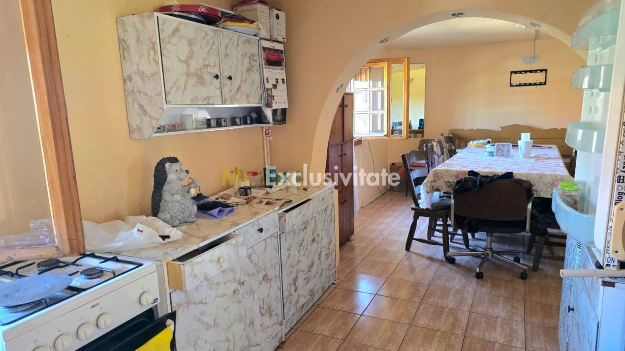 casa 3 camere Viile Satu Mare - imaginea 9