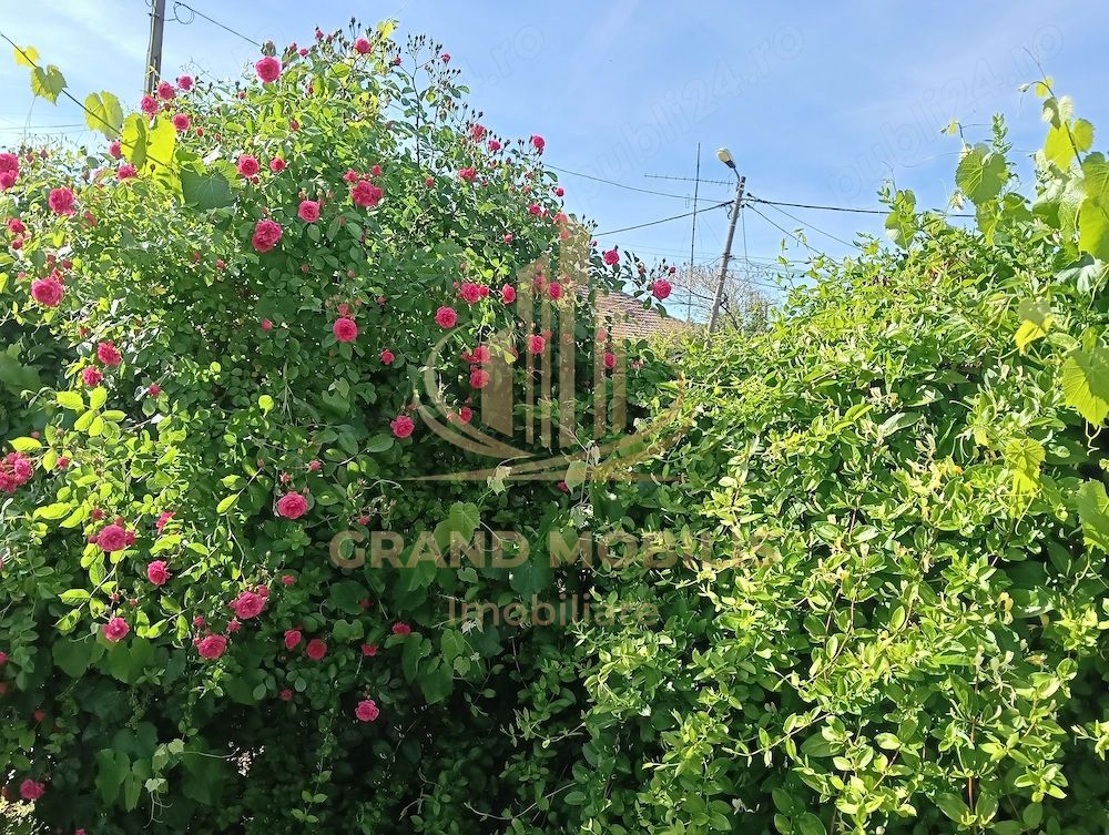 Teren 664 mp | Front 22 ml | Mehala | Ideal Casă sau Duplex - imaginea 8