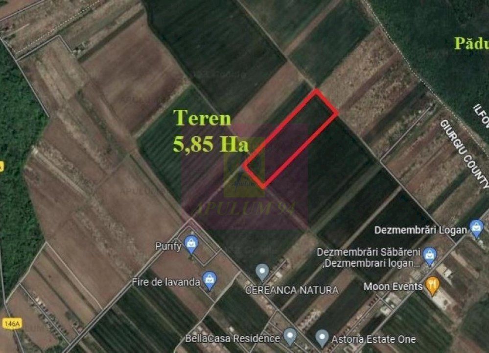 Săbăreni, teren 5,85 ha, intravilan rezidențial, între 2 păduri