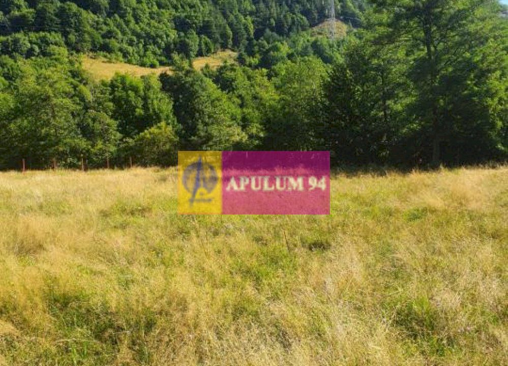 Teren Județul Vâlcea - Brezoi, Valea lui Stan