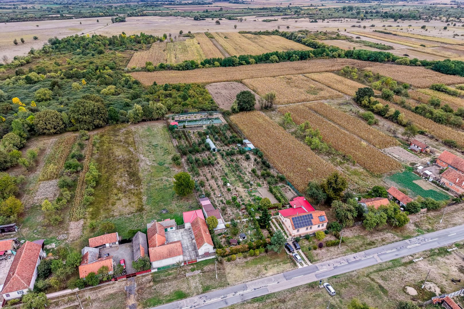 Imagine 3 - 🏡 Mai mult decât o casă: libertatea de a trăi aproape de natură