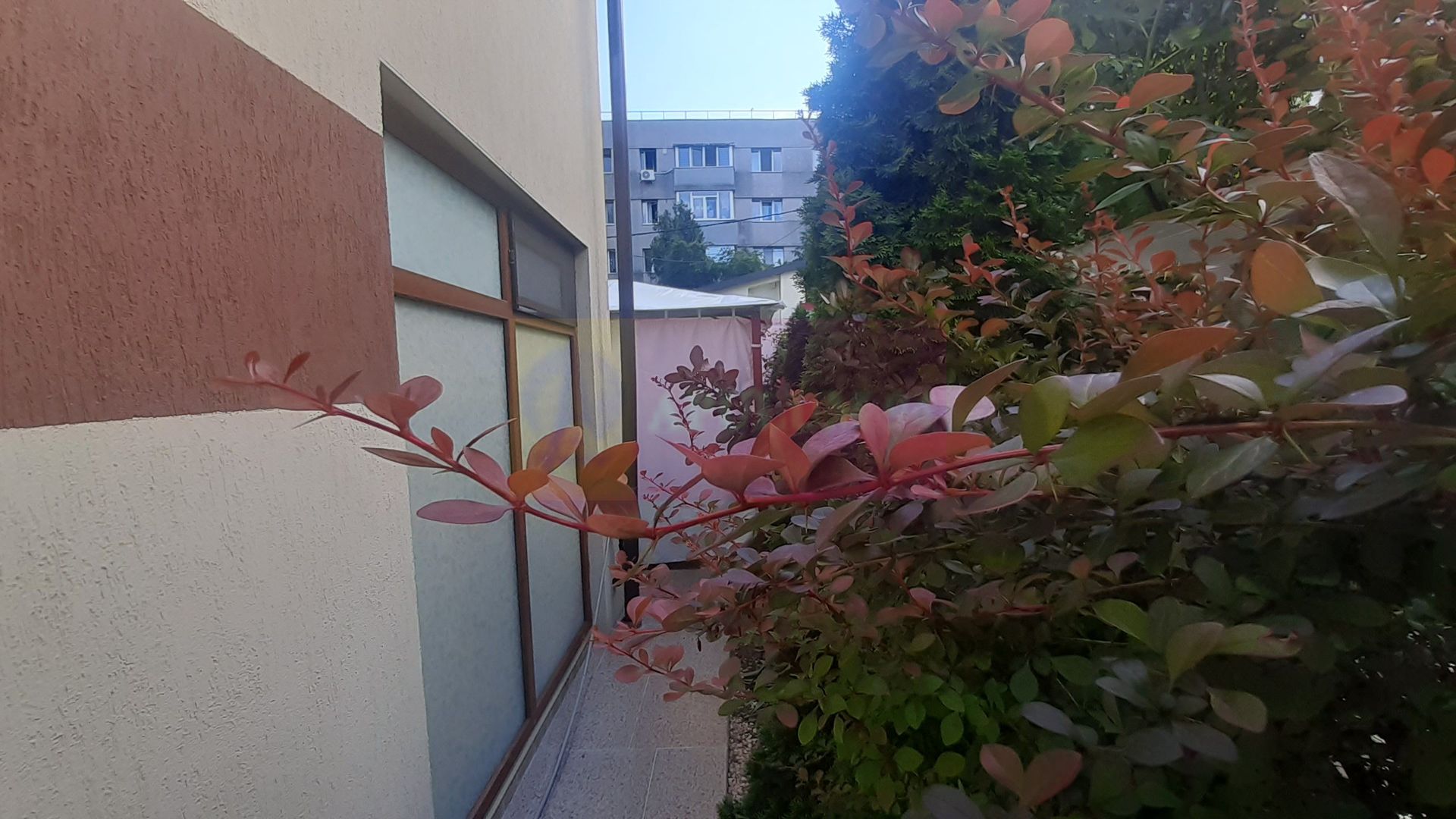 Casa perfectă în București