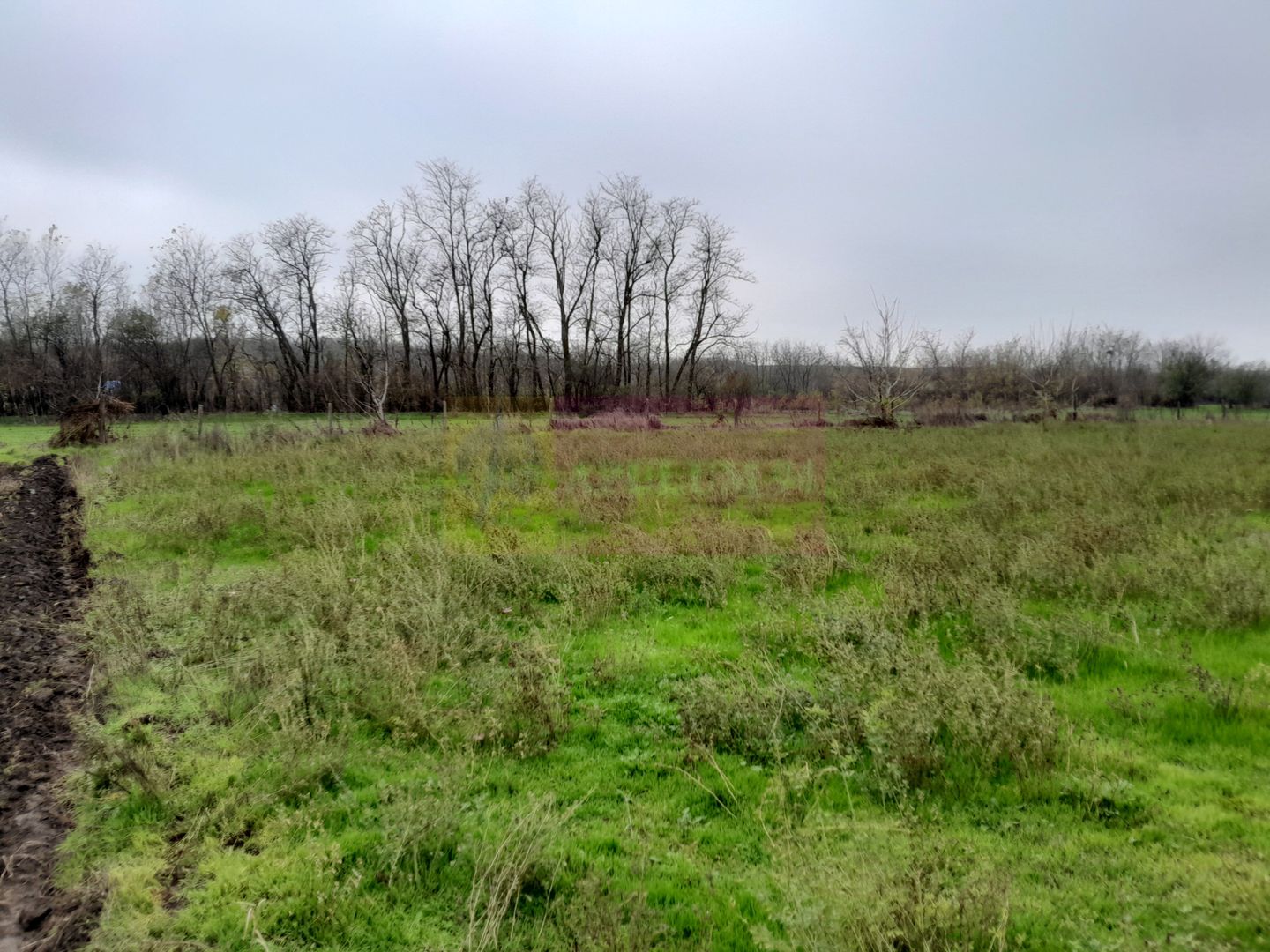 De vanzare casa +teren 16k mp in BARCANESTI / IL