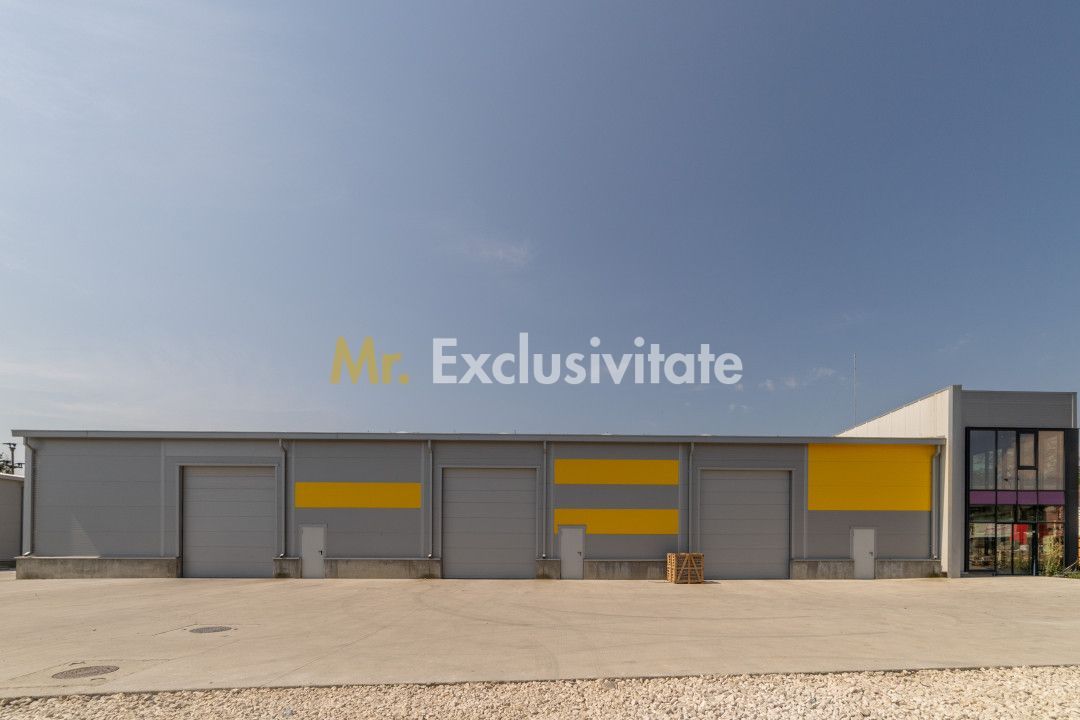 Inchiriere hala noua zona Bascov la DN 7C - imaginea 7