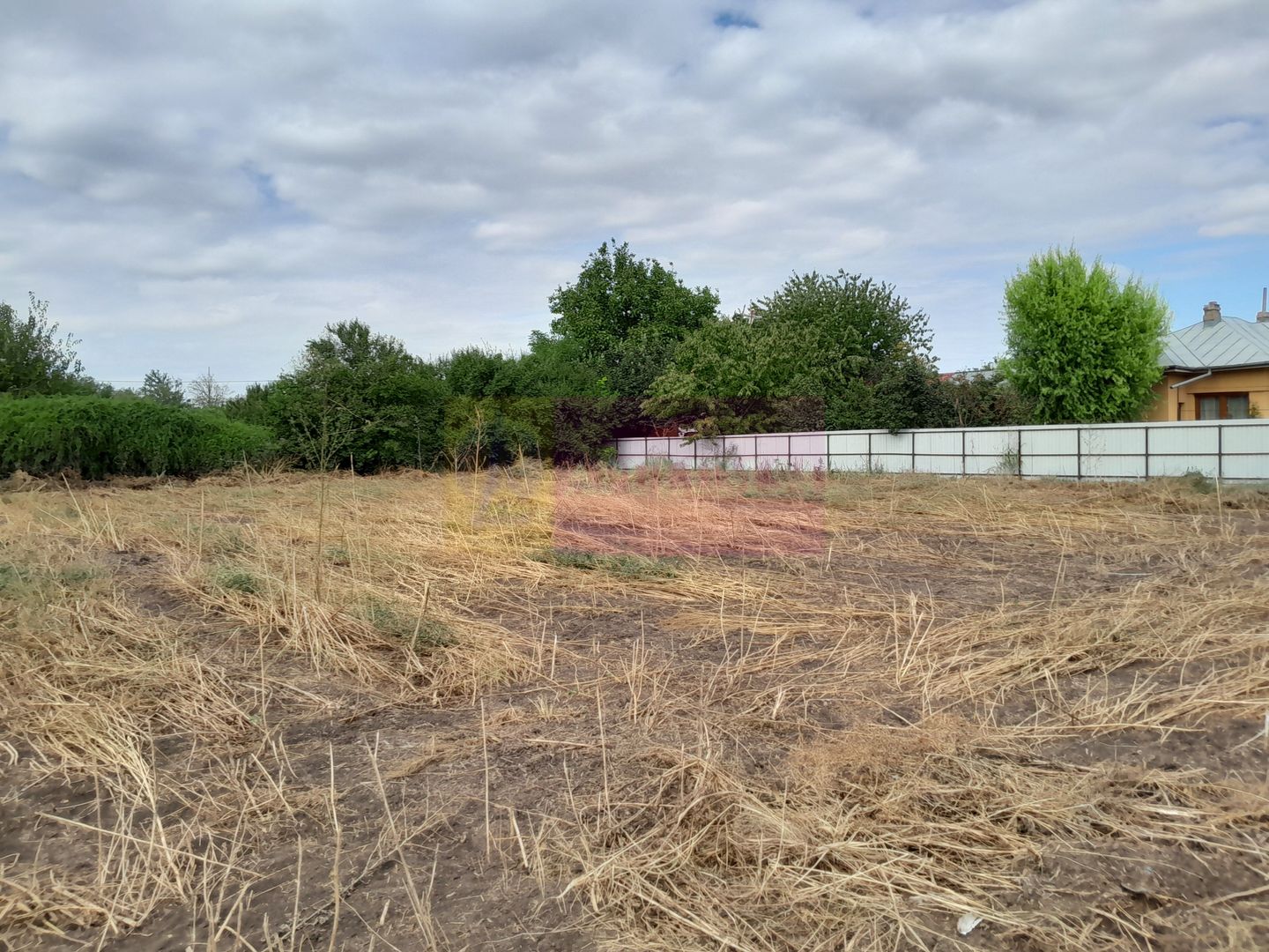 Movilita (IL)-teren de inch. 1800 mp stradal, 30 ml desch, langa Profi