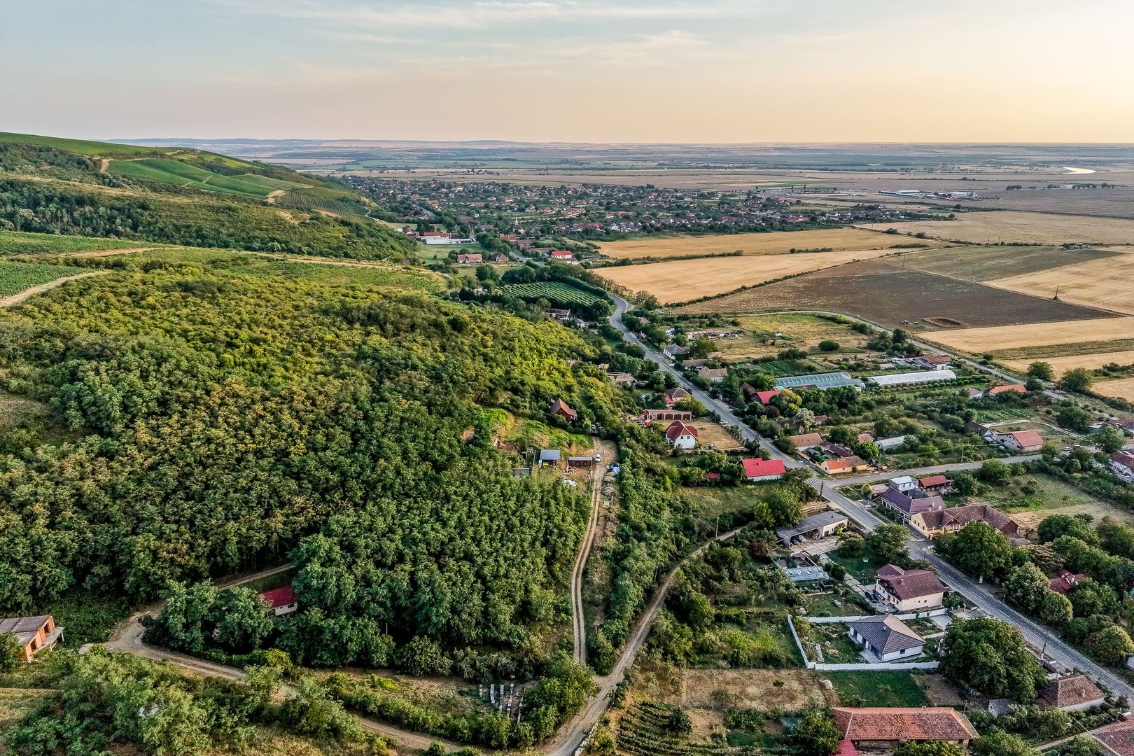 Imagine 10 - Teren pe deal, 1.150 mp, în Miniș, front 26 m, Drumul Vinului