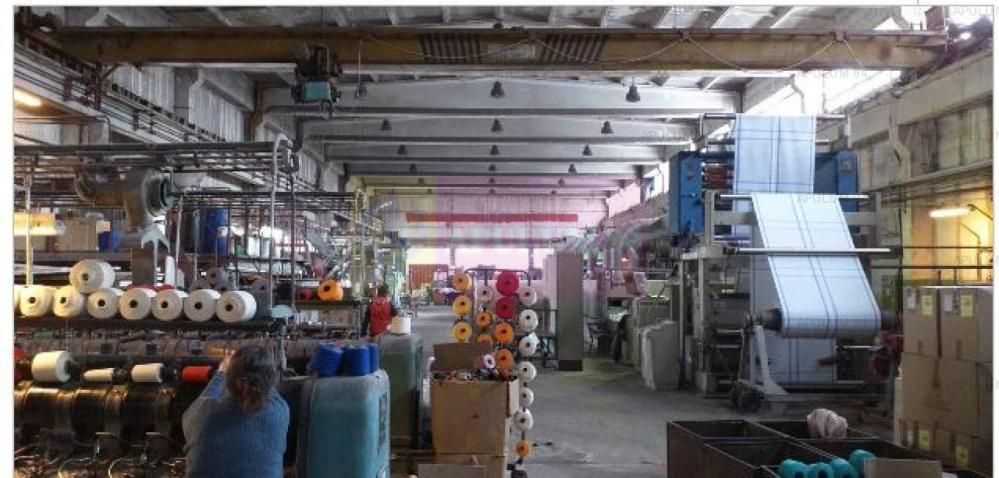 Hala productie 23 August.