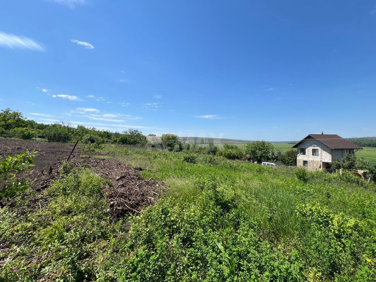 Lot pomicol 12 ari  Vadul lui Vodă