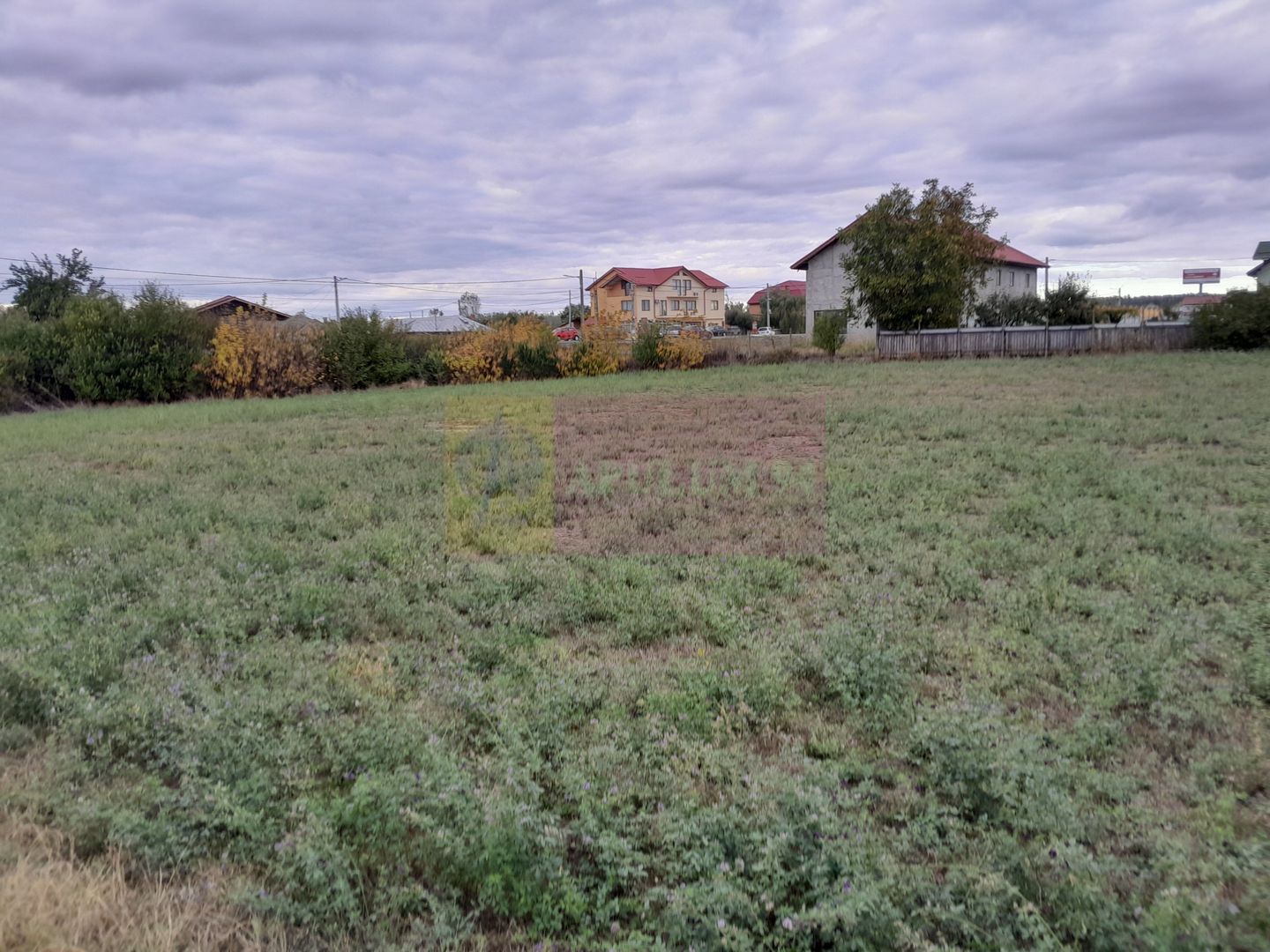 DE VANZARE TEREN 2000 MP  -  COSERENI( il )