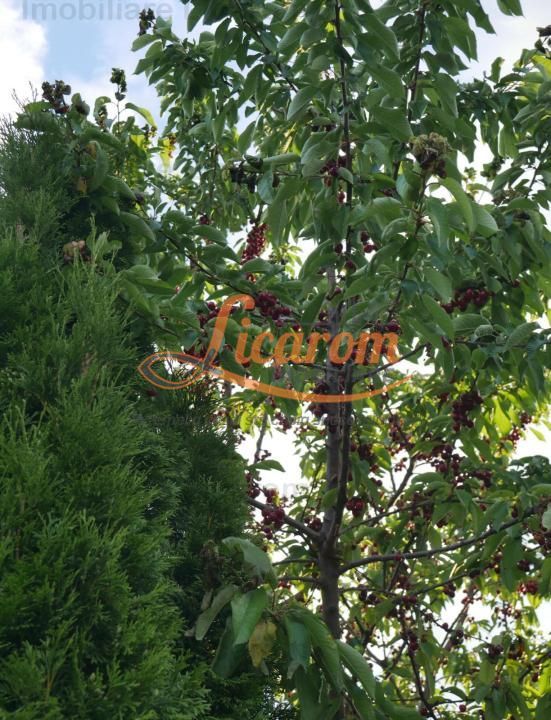 Vila Stupini pentru diverse activitati(gradinita after school),sau locuit - imaginea 17