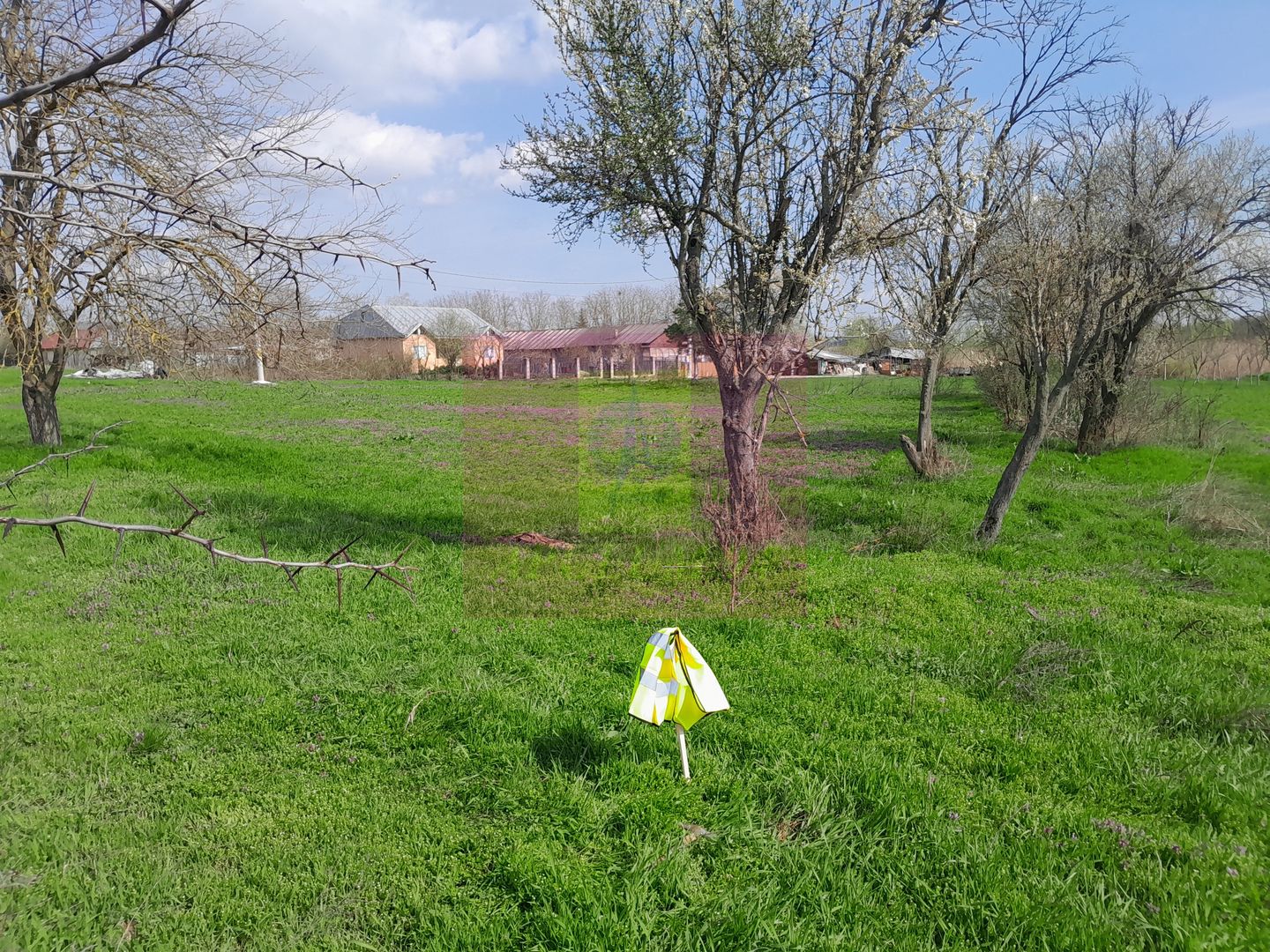 GIURGIU - SE VINDE TEREN 3400 MP IN SAT PODU ILFOVATULUI - imaginea 32