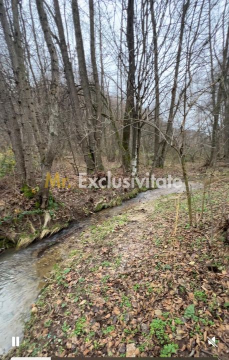 Teren intravilan 6.500 m²–Deschidere 144 ml drum european E81, km 35, Morăresti - imaginea 3