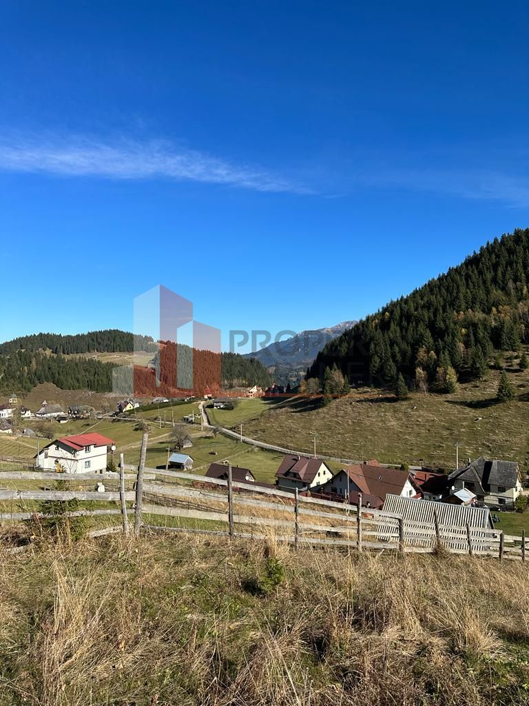 Teren Fundatica intravilan 4500 mp - imaginea 17