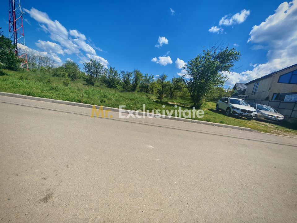 Teren central 2000 mp intravilan Mioveni - imaginea 3