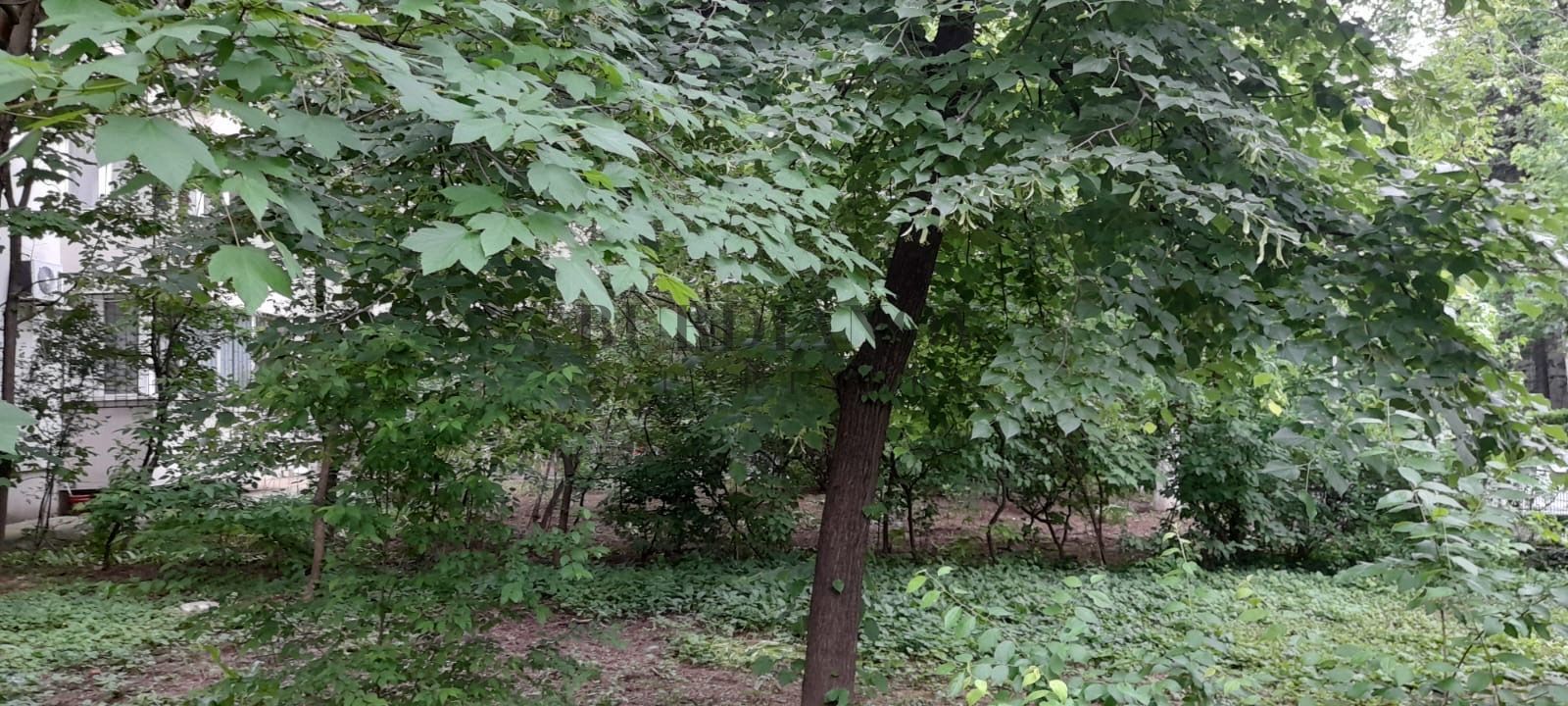 Apartament cu 3 camere de închiriat pentru 2 persoane - Metrou Titan - imaginea 4