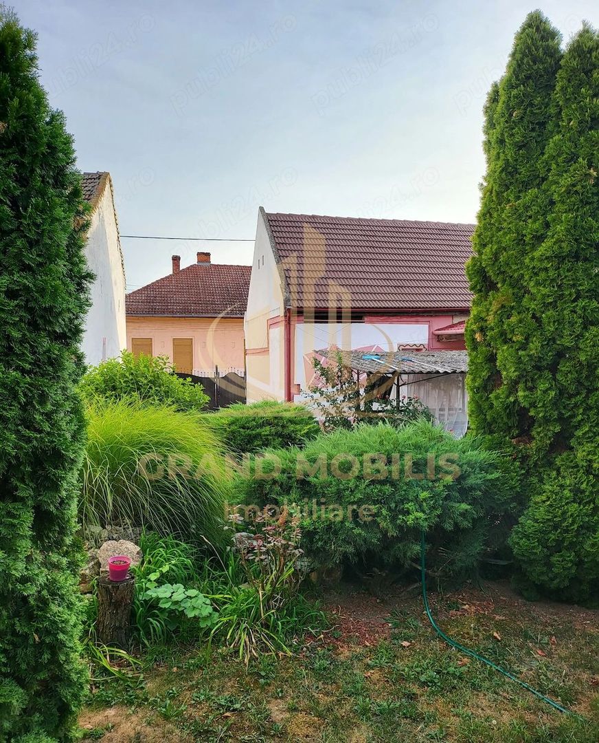 Oportunitate Unică | Două Case + Teren 902 mp | Calea Bogdăneștilor - imaginea 6
