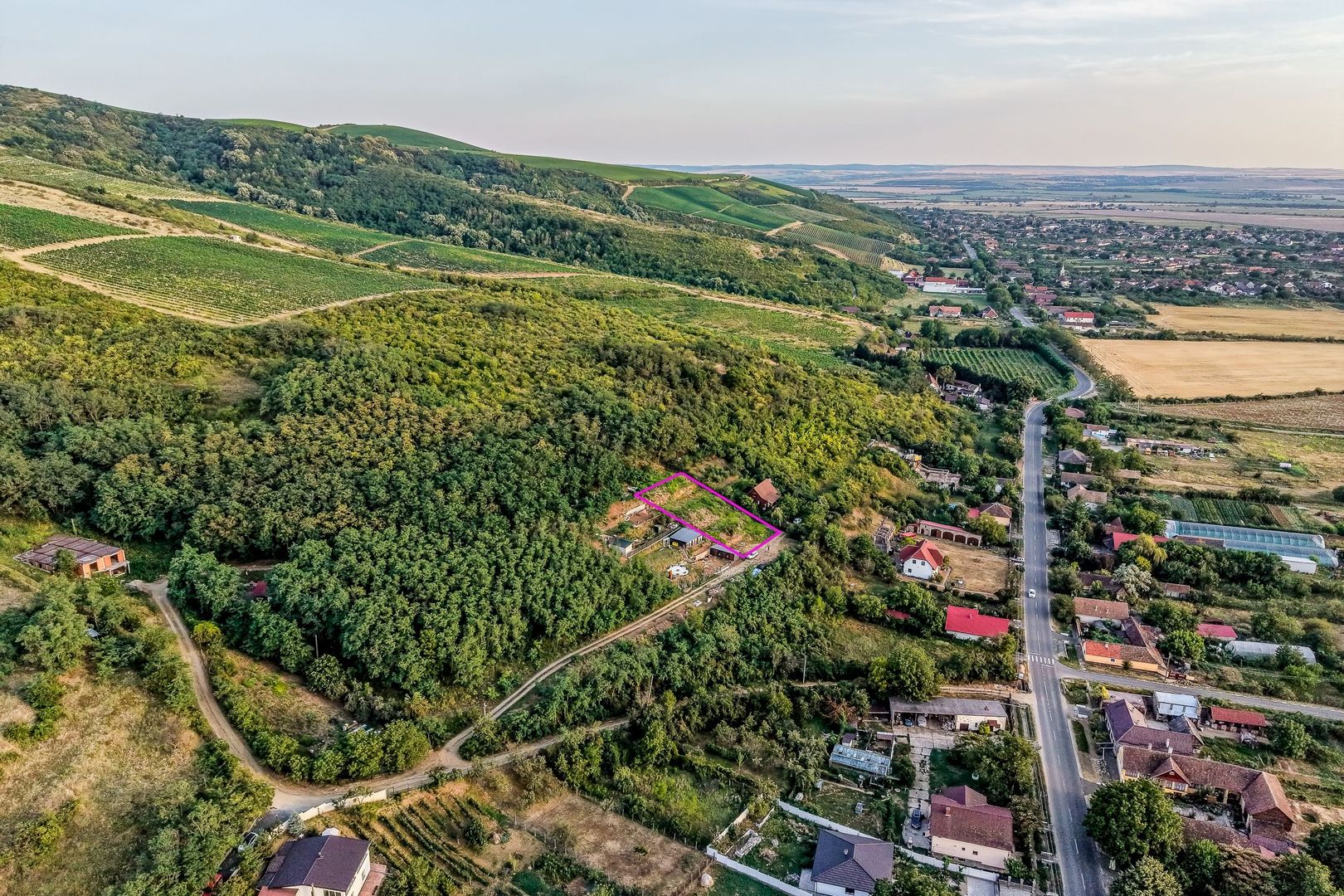 Imagine 4 - Teren pe deal, 1.150 mp, în Miniș, front 26 m, Drumul Vinului