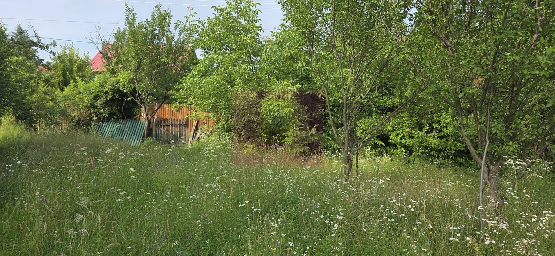 Teren 3026 de vanzare in Brebu - imaginea 2