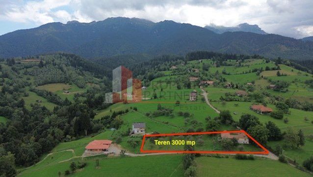 Teren intravilan 3.000 mp cu casă tradițională – Bran, sat Poarta - imaginea 11