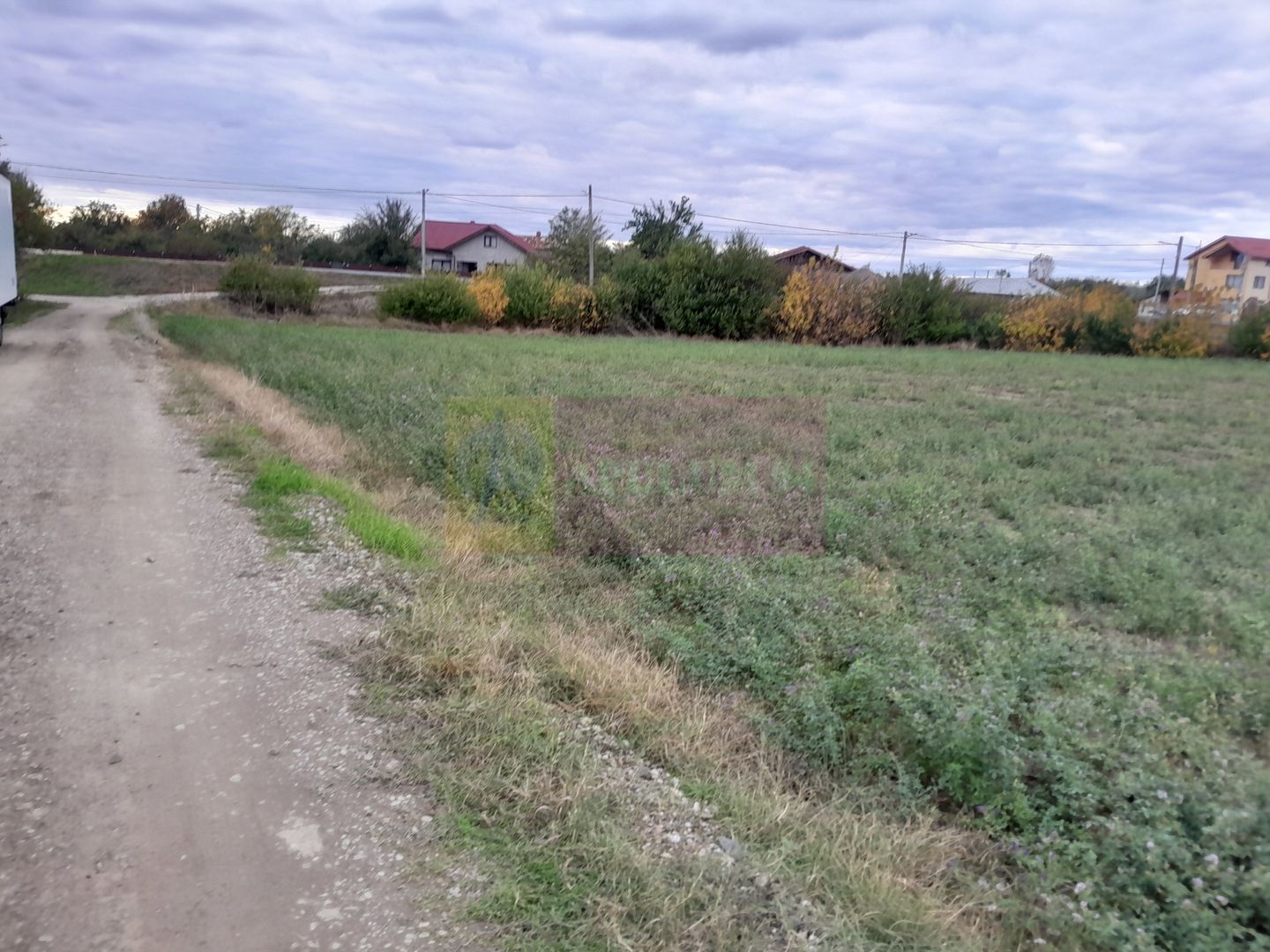 DE VANZARE TEREN 2000 MP  -  COSERENI( il )