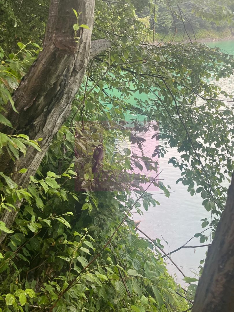 Teren cu deschidere la lac – Valea Doftanei, Prahova - imaginea 12