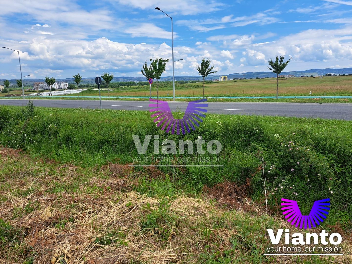Oportunitate Teren Intravilan 9000mp-Turnisor