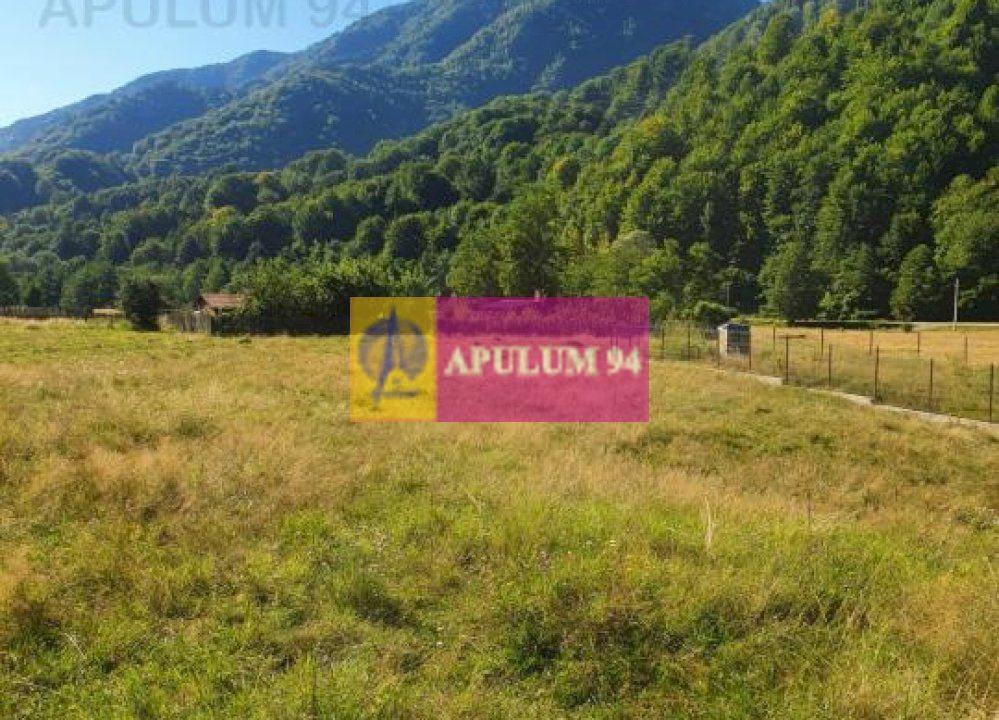 Teren Județul Vâlcea - Brezoi, Valea lui Stan