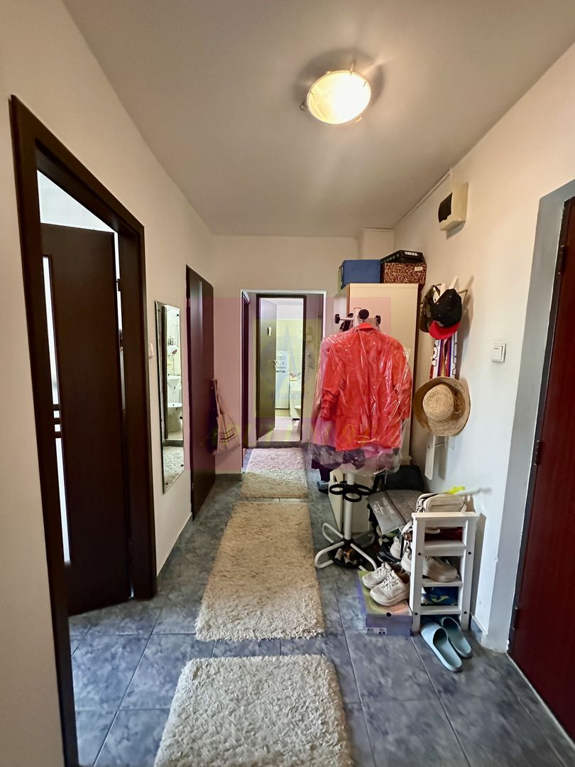 2 camere de vanzare Sebastian - Novaci - imaginea 8