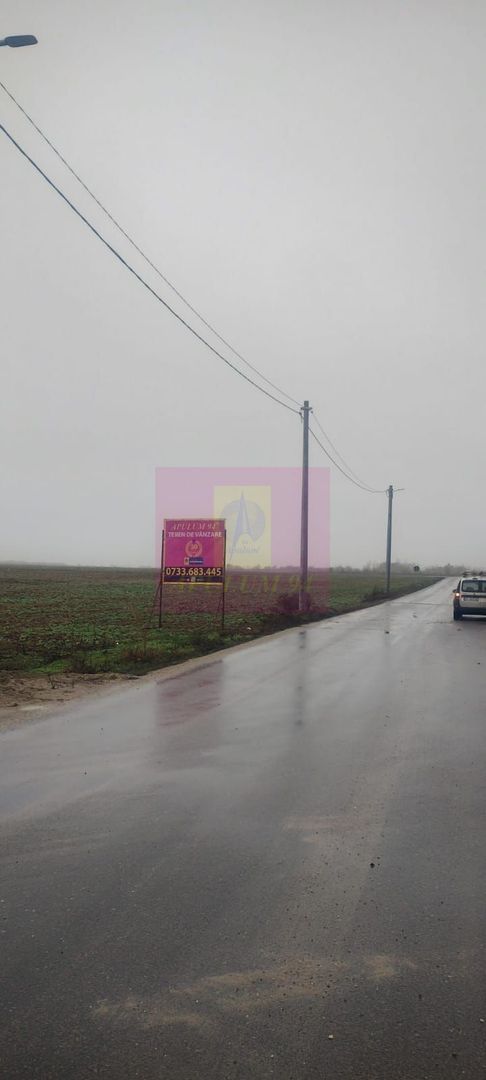Dragomiresti-Vale, lângă Șoseaua de Centură, pretabil hale, productie - imaginea 3