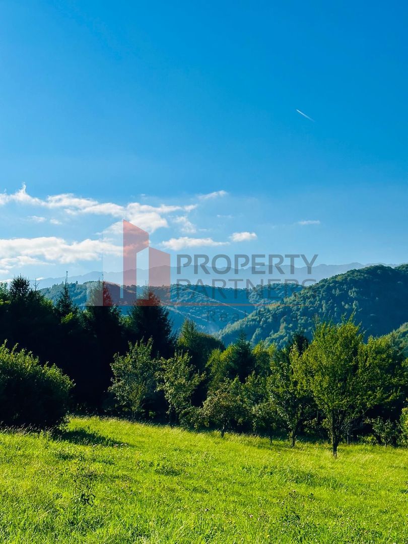 Teren intravilan Bran 2.772 mp | Vedere Piatra Craiului | Potrivit pentru cabane - imaginea 12